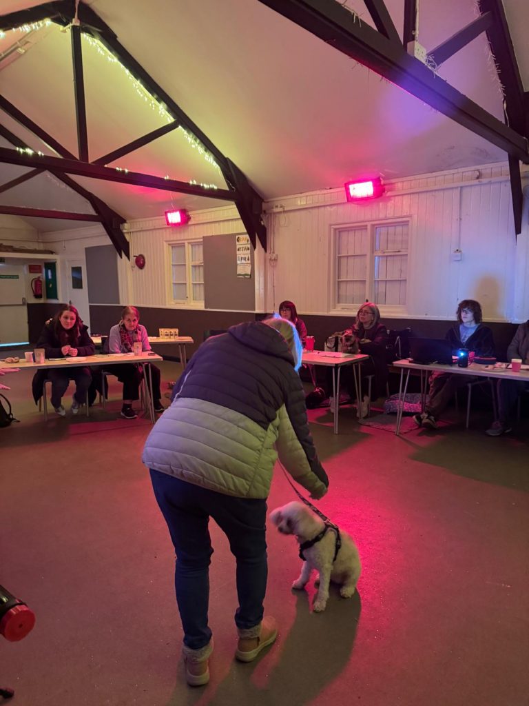 WhatsApp Image 2026-02-19 at 14.28.23 (1)