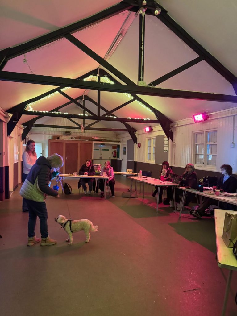 WhatsApp Image 2026-02-19 at 14.28.23